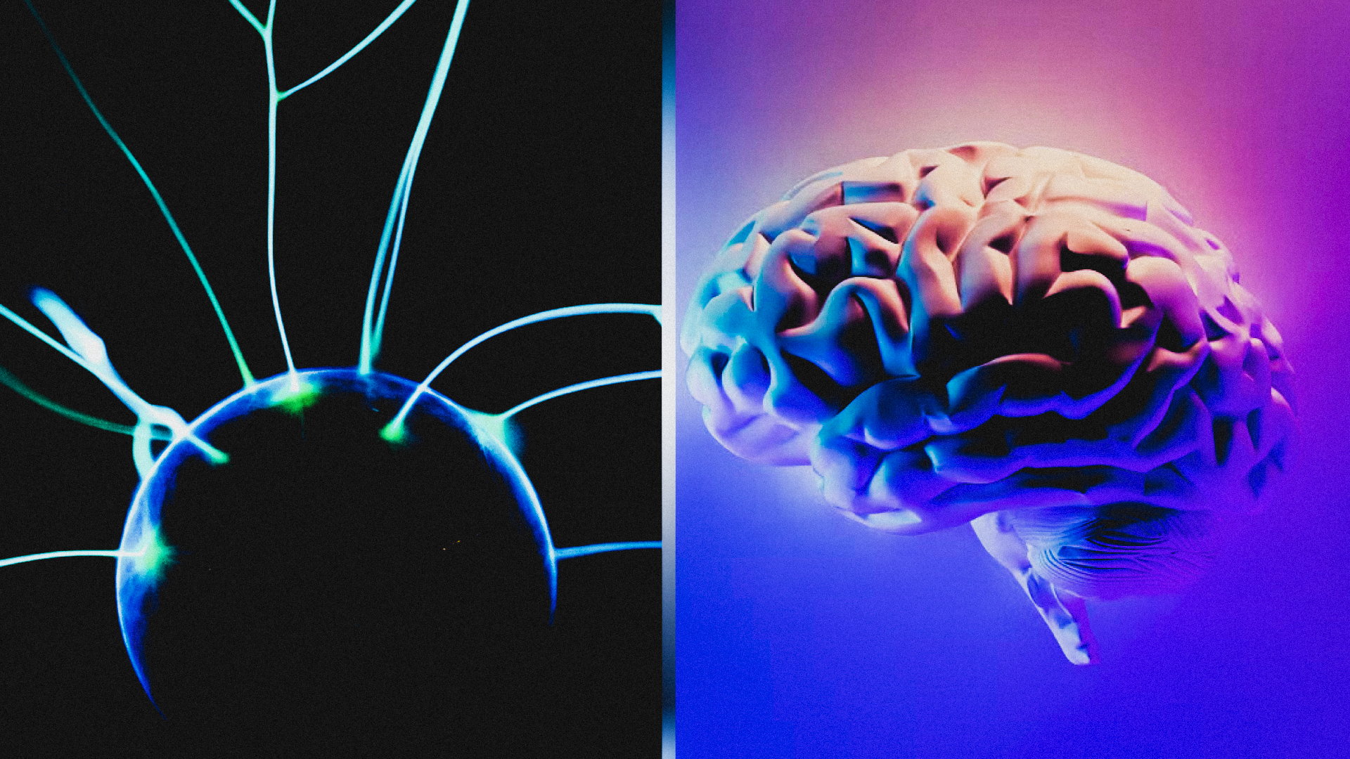 Neurodivergencias